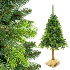 SOSNA ALPEJSKA PE NA PNIU