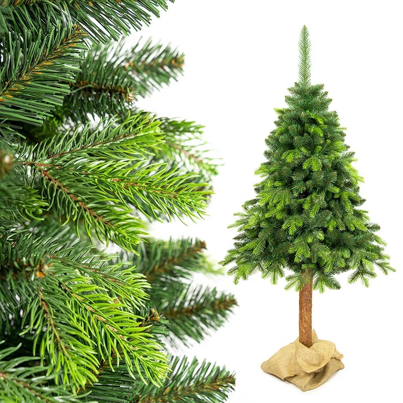 SOSNA-ALPEJSKA-PE-NA-PNIU