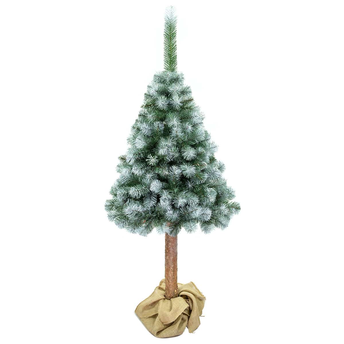 Sosna-diamentowa-3D-01_84370260