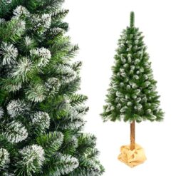 Sosna Diamentowa Premium na pniu
